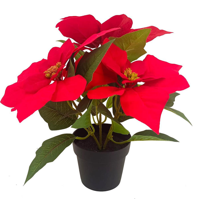 10" CHRISTMAS POINSETTIAS