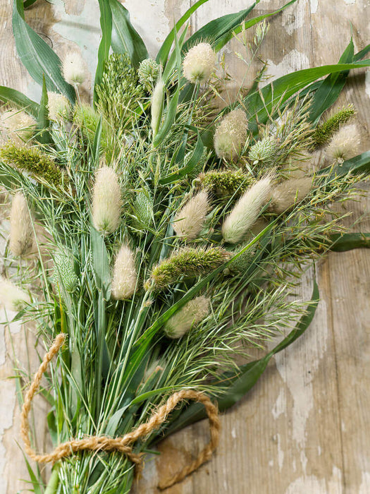 ORNAMENTAL GRASSES ANNUAL MIXTURE SEEDS