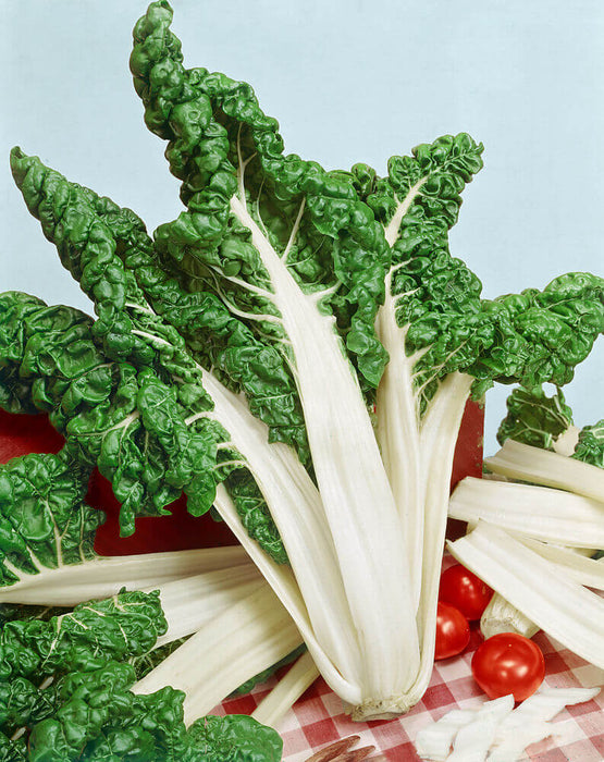 SWISS CHARD SEEDS FORDHOOK GIANT