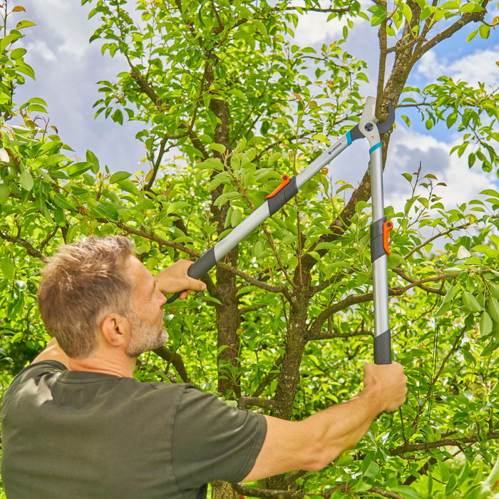 Man using Gardena 650BT Telescopic Bypass Lopper to cut a high tree branch, extending the handles to reach into a leafy canopy.
