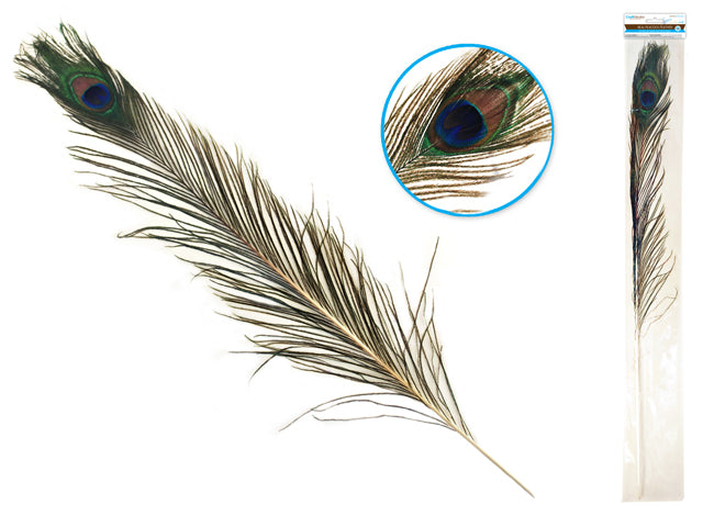 31IN-35IN REAL PEACOCK FEATHER