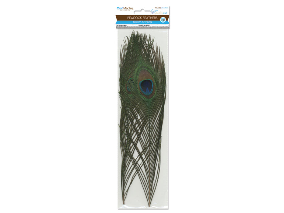 10"-14" Real Peacock Feathers 2/pk