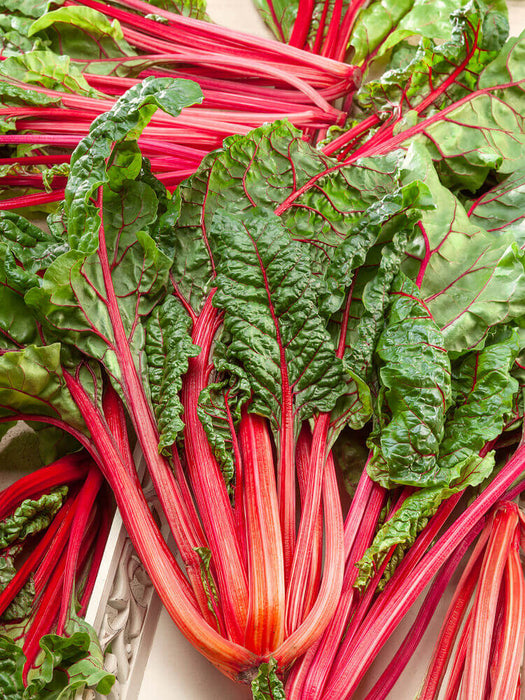 SWISS CHARD SEEDS RHUBARB CHARD