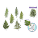 Fern leaf stickers on a white background with a product card in the corner.