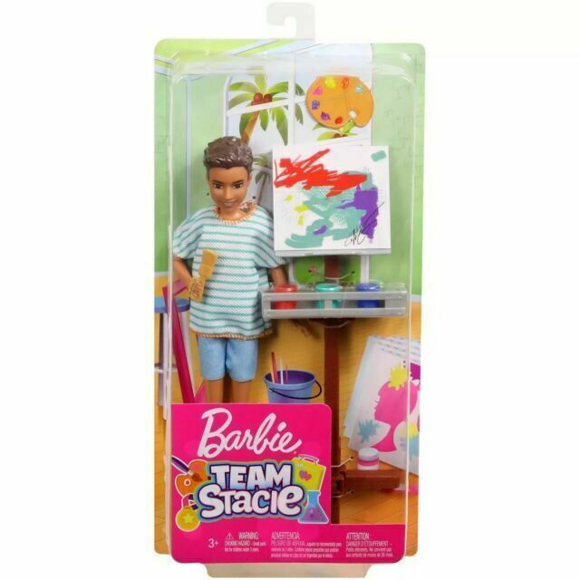 BARBIE TEAM STACIE ART CLASS - BOY