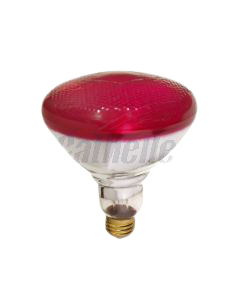 OUTDOOR FLOOD LIGHT 100W BR38