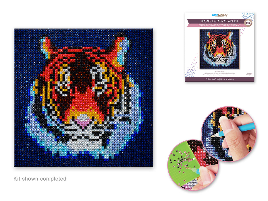 DIAMOND PAINTING KIT