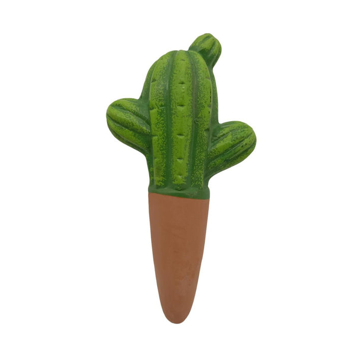 Cactus-shaped carrot on a white background