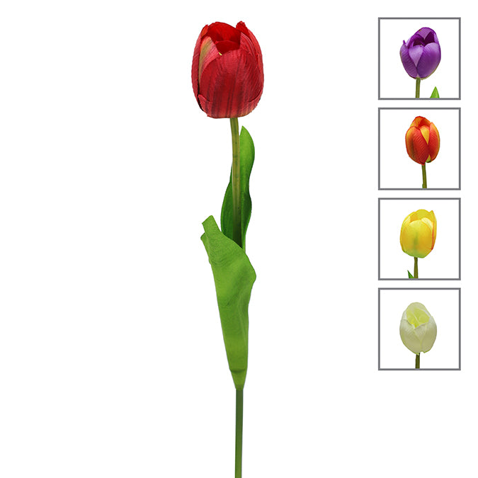 ASSORTED TULIP STEM