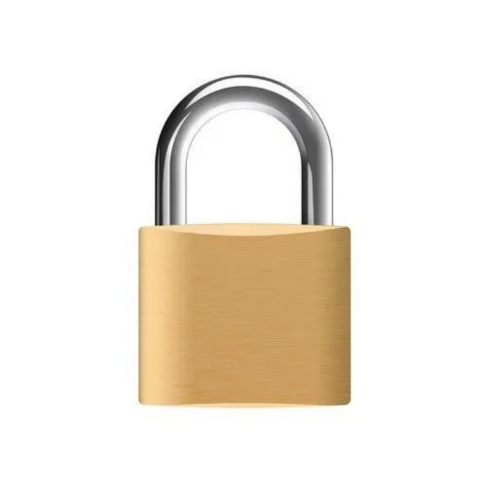 Gold padlock with a silver shackle on a white background