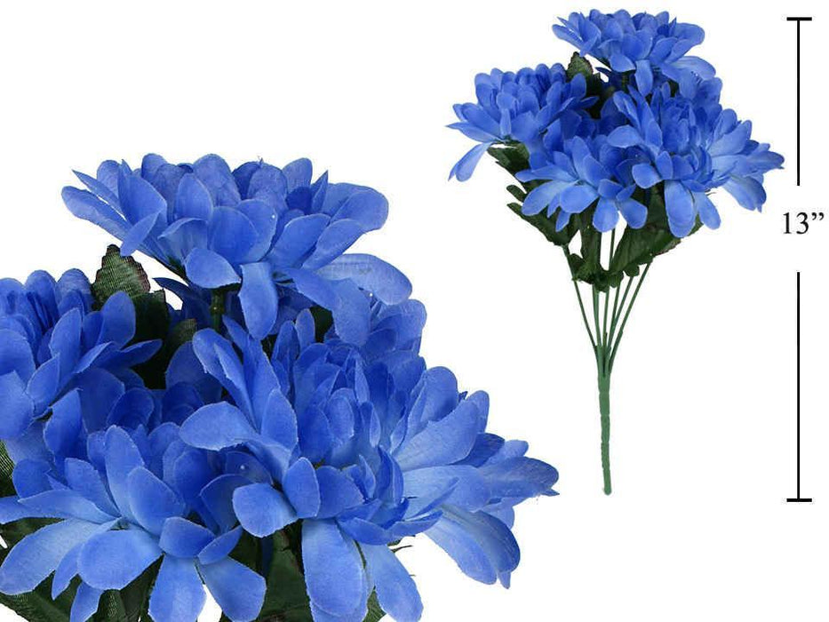 CHRYSANTHEMUM, BLUE