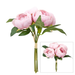 Bouquet of pink peonies with green leaves on a white background