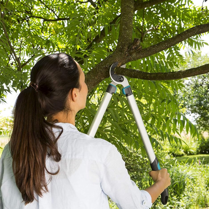 Person using garden shears to trim a tree in a garden setting