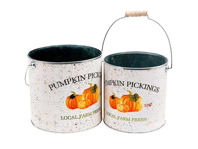 PUMPKIN BUCKET