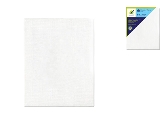 STRETCH ARTIST CANVAS: RECT 6IN X 12IN PRIMED BACK - STAPLED