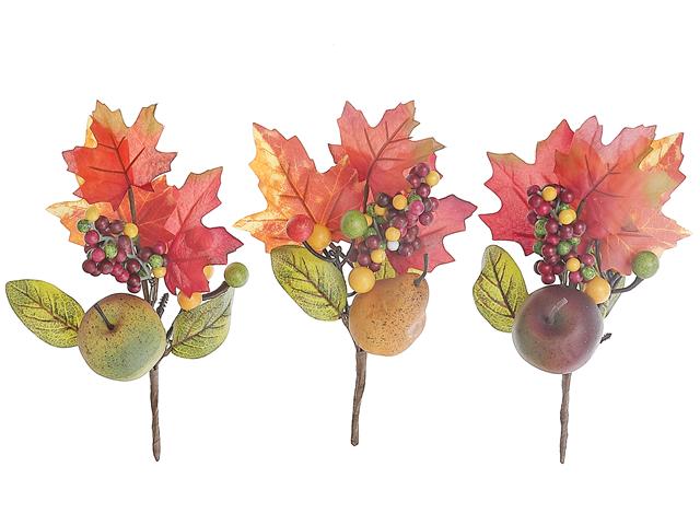 FRUIT AND BERRY PICK
