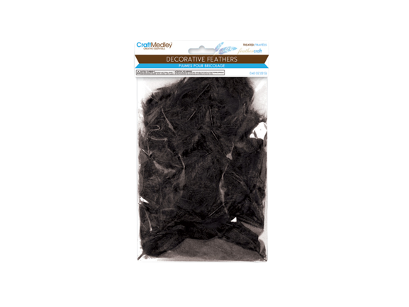 FEATHER CRAFT: 12G CRAFT FEATHERS 2IN - 3.5IN A) BLACK