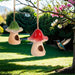 Two mushroom-shaped birdhouses hanging from a tree branch with a hummingbird in the foreground.