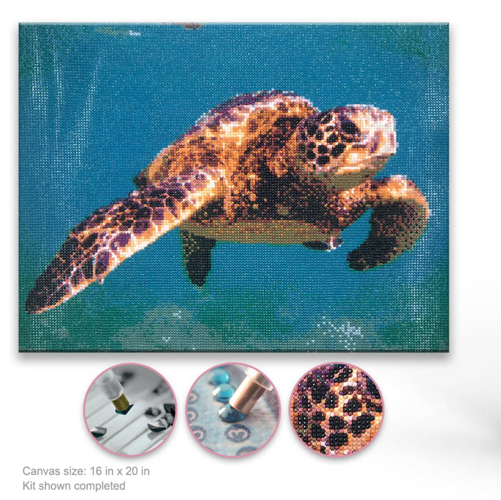 Canvas with a turtle design and diamond painting tools below