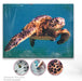 Canvas with a turtle design and diamond painting tools below