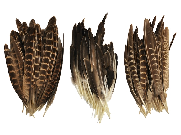 FEATHER CRAFT: 6IN - 8IN AU NATUREL 8G FEATHERS - 3 STYLES AVAILABLE - PER STYLE