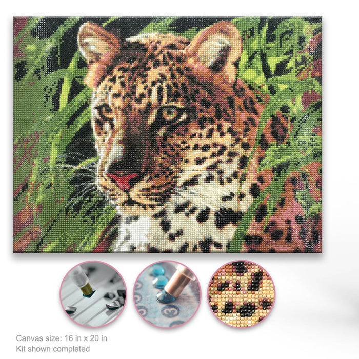 Leopard painting and packaging on a white background