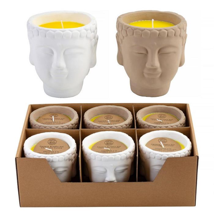 Set of Buddha-shaped candles in a box on a white background