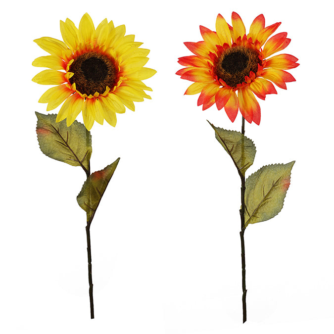 ASSORTED SUNFLOWER STEMS