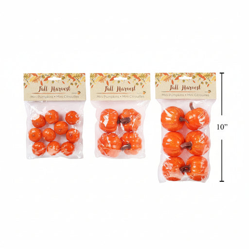 Three packages of orange mini pumpkins on a white background, with a 10-inch height marker on the right. The packages have 'Fall Harvest' paper headers.