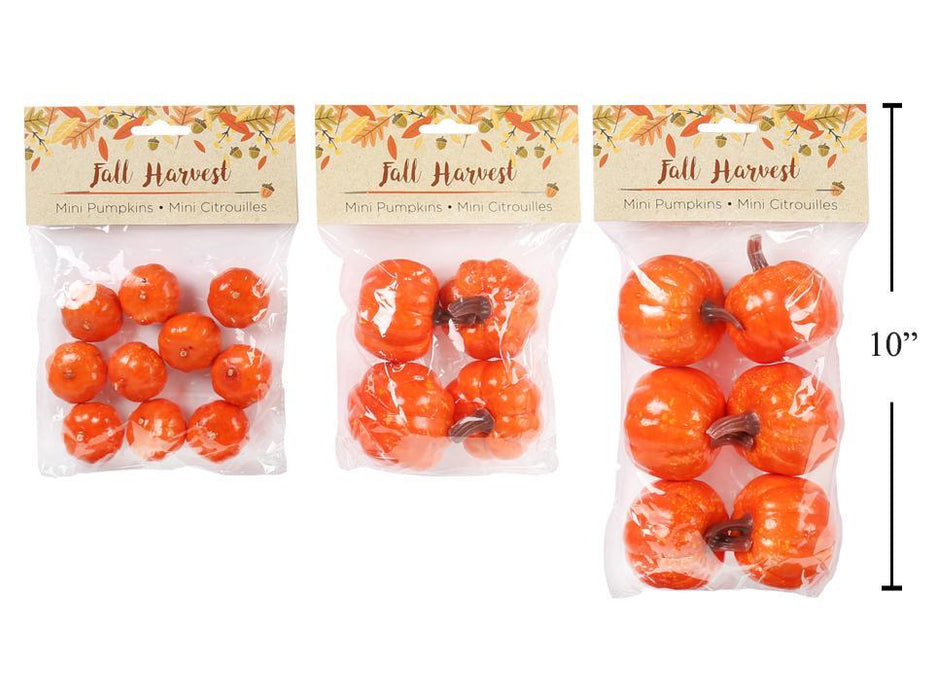 HARVEST MINI PUMPKINS-3 KINDS