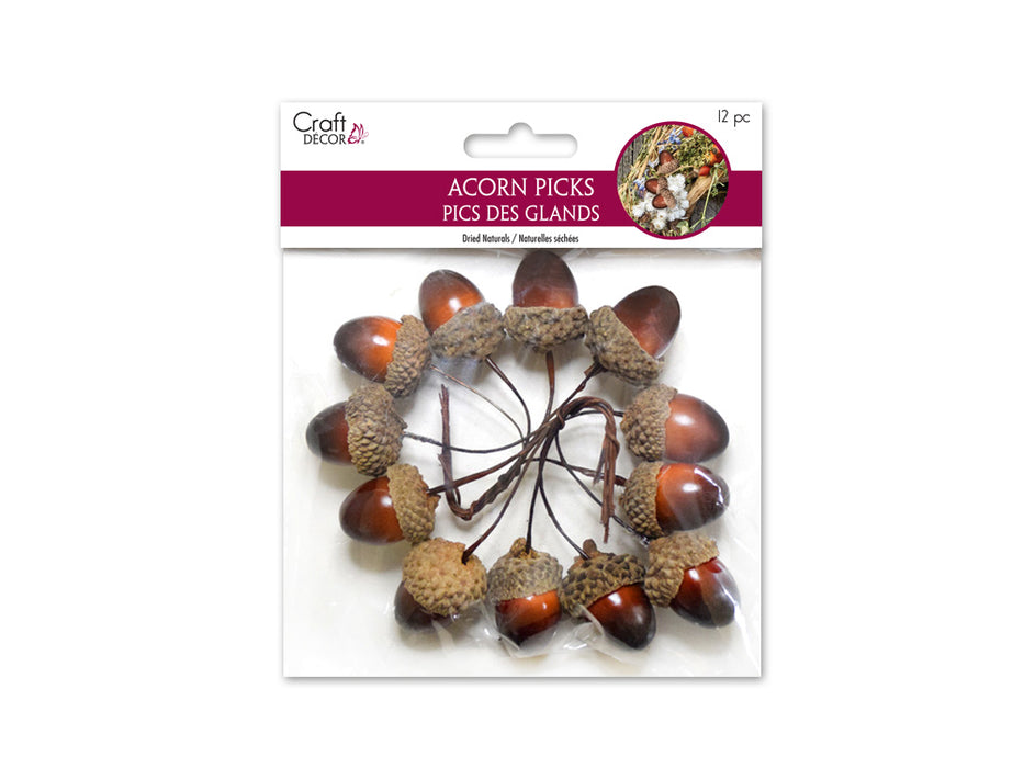 CRAFT DECOR: 1IN ACORN PICK 12PC