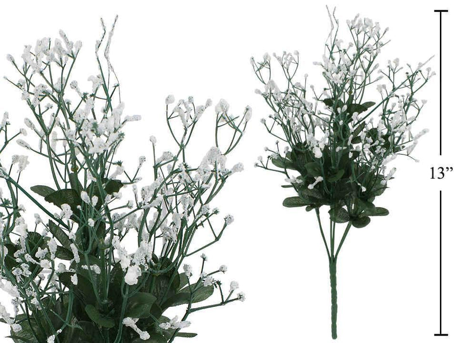 BABY'S BREATH