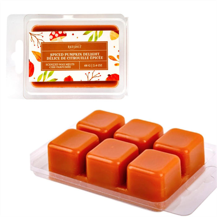 Spiced pumpkin delight wax melts in packaging on a white background