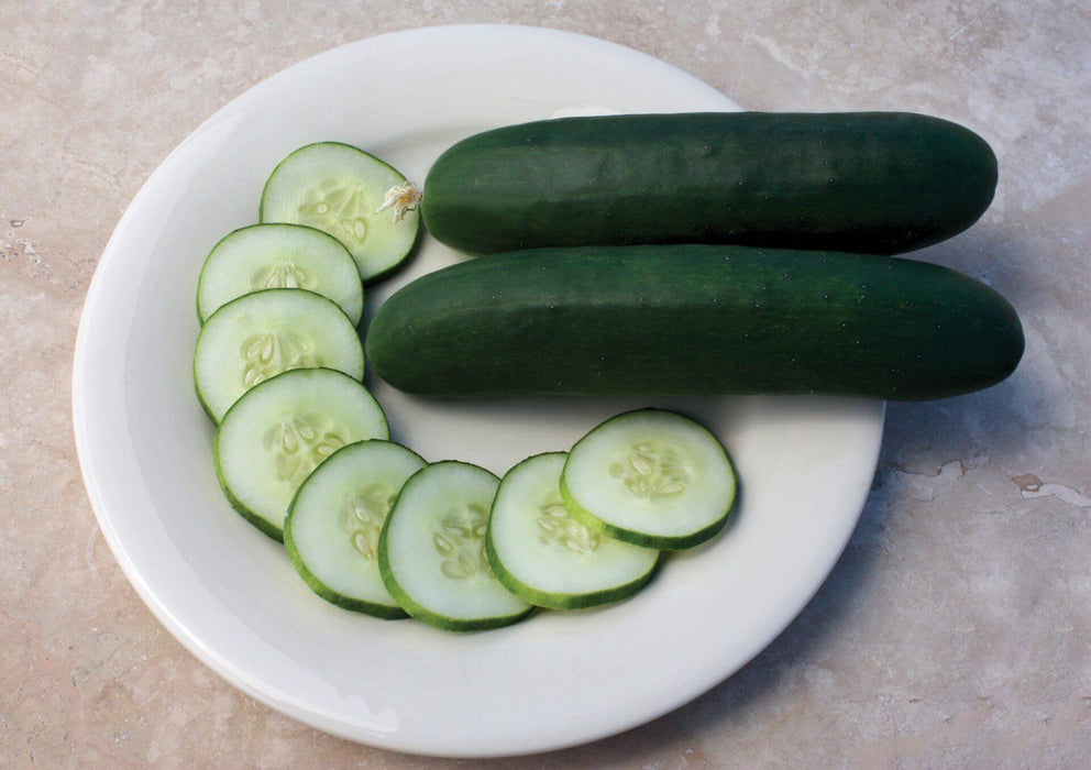 CUCUMBER SEEDS SLICEMORE