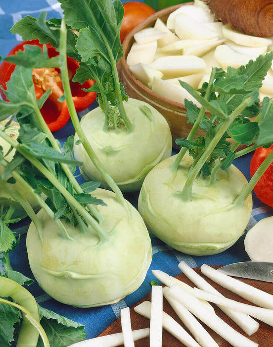 KOHL RABI SEEDS WHITE VIENNA