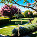 Hummingbird perched on a green hanging bird feeder in a garden with flowers and trees.