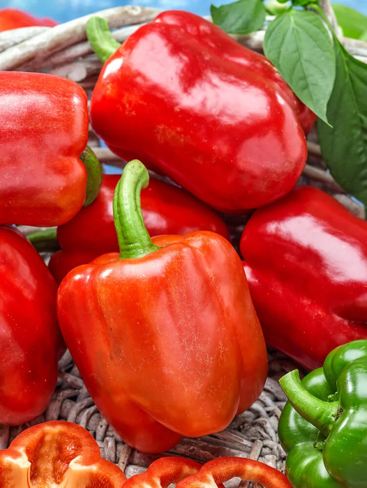 PEPPER SEEDS SUMMER RED