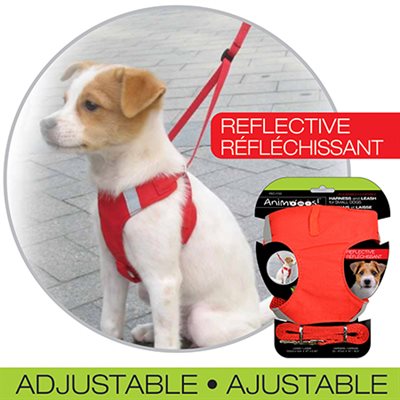 LEASH AND HARNESS SMALL RED