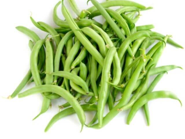 POLE BEAN SEEDS BLUE LAKE FM1