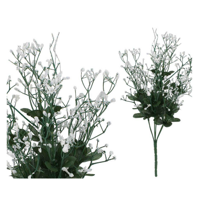 BABY'S BREATH