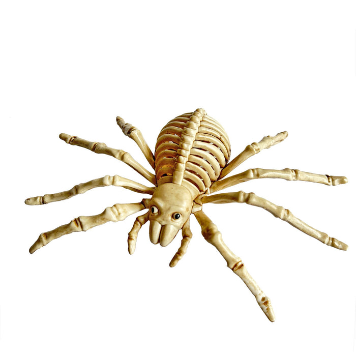 SKELETON SPIDER - 9.4"X4.7"