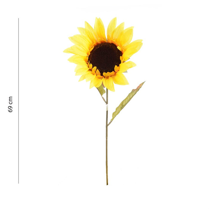 SUNFLOWER ASST. COLOURS