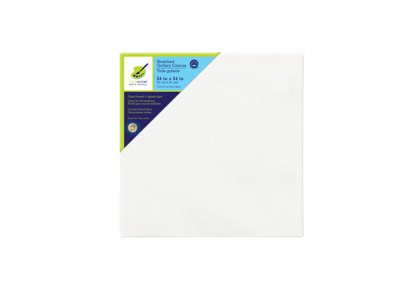STRETCH ARTIST CANVAS: RECT 24IN X 24IN PRIMED BACK-STAPLED