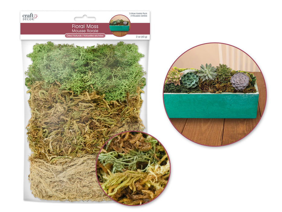 CRAFT DECOR DRIED NATURALS: 2OZ 3-MOSS VARIETY PACK (60GM)