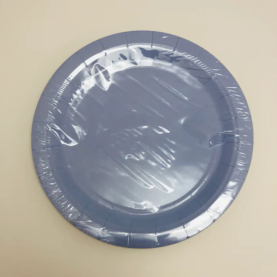 9IN PAPER PLATES, 8PK