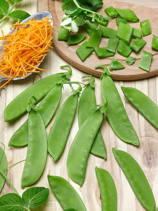 SNOW PEAS SEEDS OREGON SUGAR POD II