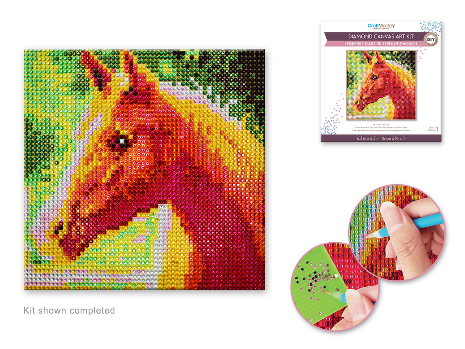 DIAMOND PAINTING KIT