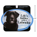 Fun magnet with a black Labrador and text 'Life's better with a Labrador' on a white background