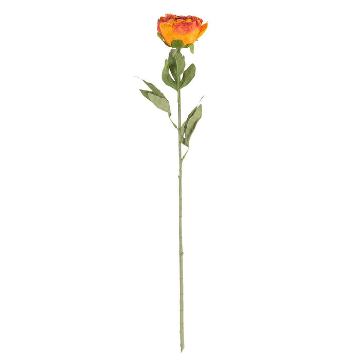 ORANGE PEONY STEM - 27.5"H