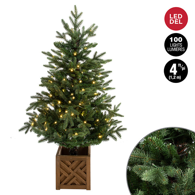 PRELIT MIXED PINE POTTED TREE WOOD POT1.2M 100 WARM WHITE LIGHTS